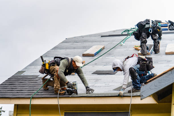 Professional Gutter Installation technician working in Van Meter, IA
